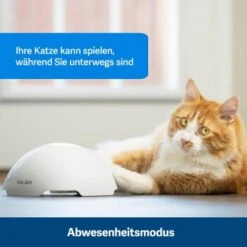 PetSafe Automatisches Katzenspielzeug Fox Den -Haustierparadies 436796eddc653fbc5ba6c19e00138d58f340ef52 1351524 de DE 2c07966cfa5d20e79e732d930dea56115af33e3axxjuix