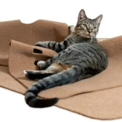 Canadian Cat Company Spielteppich Für Katzen Braun -Haustierparadies 446d45749f5e58cb5a7dbc00eb3558dbe40784fe 1394213 de DE 80770b9625226d955903498b97e7018485822aeeDB3L2u