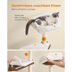 FEANDREA Kratzbaum Mit Croomer Braun -Haustierparadies 47d0b3925cfaeb666d35f7ee3984913541c8c087 1651635 de DE 88f22557a14da5cca647f95ef4949dafa54896c7B6UNIS