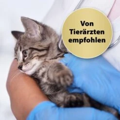 Felisept Home Comfort Beruhigungshalsband Für Katzen 10 Felisept Home Comfort Beruhigungshalsband Für Katzen -Haustierparadies 49f63f3eec6617dbc795d98ab15477ddca010d3a 1238279 de DE Felisept 2