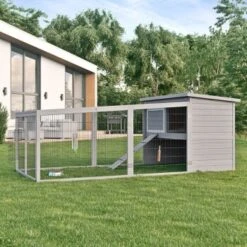 MORE FOR Free Running XL -Haustierparadies 4ce65cd82572b04faf049b8d7f58b316aef43620 046fc5a2893056d744f00309a742d79bccd8a723