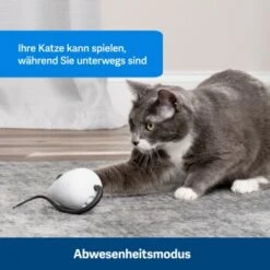PetSafe Automatisches Katzenspielzeug RoloRat -Haustierparadies 4e48313abe110e77b48862456b3054c8cbc622dd 1351522 de DE cc35ab35cec54291341f643ff079f60e72f56895BvuHXl