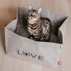 Canadian Cat Company Katzenbett Winnipeg -Haustierparadies 4f163c23f3c00759be25633fb22100eb50b10eed 1360995 de DE e27163ea0c21fd571c9e22268b69a4d1b68affe5UBt2yy