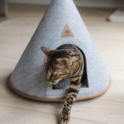 Canadian Cat Company Katzenzelt Cone -Haustierparadies 5109d27ef761061b6b743871ab0498da3478f504 1394210 de DE f112ffaf078c6f8bf03764511a0d90aab2c21021HdDAgd