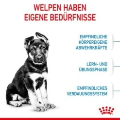 ROYAL CANIN Maxi Puppy 10x140g 13 ROYAL CANIN Maxi Puppy 10x140g -Haustierparadies 520cede8431c2f7bd9b6dfd8e89114d545b17958 3182550402163 4