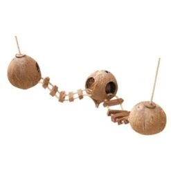 Europet Bernina 3er Kokosnuss Mit Leiter Und Seil