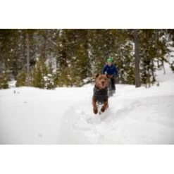 Ruffwear Climate Changer™ Fleece-Pullover Für Hunde Rot S -Haustierparadies 535cabacaeabf49aa3494b71adfef12f9eebb3a3 1369661 de DE 7a5c8e78f67f43ebb4ef19e792a83af13c77436dTtVXa2