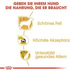 ROYAL CANIN Yorkshire Terrier Adult 1,5 Kg -Haustierparadies 55eb2ddc01e728035ce25d3d59cb02ce64bf6a83 c56235c0f78a67c501b179d41a4f1def2392c063