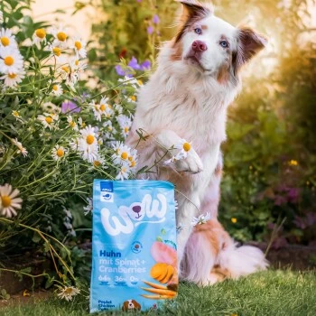 WOW Adult Huhn Mit Spinat 6 Kg 4 WOW Adult Huhn Mit Spinat 6 Kg – Bild 2