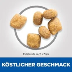 Hill's Feline Science Plan Adult Oral Care 7 Kg -Haustierparadies 56ecd72918f6b25116cc1442f63e2d2973b20147 52742752204 6