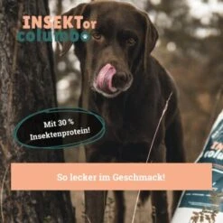 BeG Buddy Trockenfutter Insekten 750 G 12 BeG Buddy Trockenfutter Insekten 750 G -Haustierparadies 57b9a060951fe7e729b2208effd5fd5daa31d3f3 1457247 de DE a7b2e0a08ffde87f19ce4820500c56d453115ca7aqYpJv