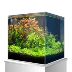 Amtra Nanoscaping Weisglassbecken 15 L -Haustierparadies 58236b3cab086b84dd3cc2e4cf34565296c2c99b 8324f35622550151fdc74ef4d8f4c3f144a7a312