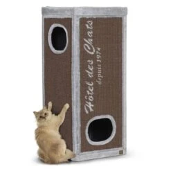 Europet Bernina Europet Kratztonne Rockefeller 50 Cm, 50 Cm, 90 Cm -Haustierparadies 5beca9afecc0b236f2fda82bf7d73b1fd0801ab1 b02f63b3e1c920c93bb6a10b2df020ae4e8491fa