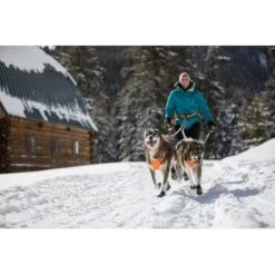 Ruffwear Omnijore™ Joring System L-XL -Haustierparadies 606b44d7bd8393842ff5128c769dfb27ee2d7907 1444283 de DE 889f2323c0a4fd9c6c11c90ae5b9f457b9885318j6h9gK