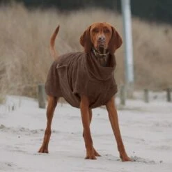 THE DOG IDEA Bademantel Every Braun XXXS 11 THE DOG IDEA Bademantel Every Braun XXXS -Haustierparadies 62c517832f7f923b83b0a0ee681a77b2e33cc3c3 1473036 de DE 2393ef51979dd0191b0261c826741cb7543b7b3brAaZfV