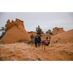 Ruffwear Overcoat Fuse™ Hundejacke Violett XXS 23 Ruffwear Overcoat Fuse™ Hundejacke Violett XXS -Haustierparadies 63f0f6c2ce316cb05ad8327a81fc0693c061f7c9 1639761 de DE c1f94f51e318dc9402504b3760a5b7d8c990fb78cnSRrn