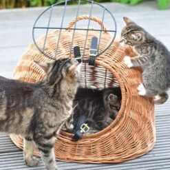 Aumüller Rattanhöhle Gesottene Weide -Haustierparadies 644da56b8da52f185185b101fb3460690748ee17 ed38553d0e52453b951e62f08b371eb8a64cf3ed