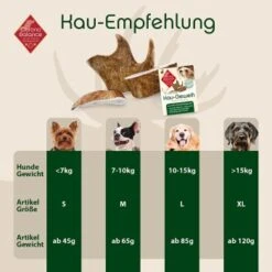 ChronoBalance Kaugeweih Damhirsch (S) 2er Paket -Haustierparadies 66dad232a7a3277a8c2b14c2f9028958861bcd91 1418695 de DE 9d0fae21483906190d35a659049e257a0043b15en4pXJB