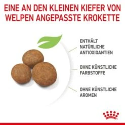 ROYAL CANIN Maxi Puppy 10x140g 15 ROYAL CANIN Maxi Puppy 10x140g -Haustierparadies 6723f14d5672858ba8db8638c69d0eba948bb8dd 3182550402163 6