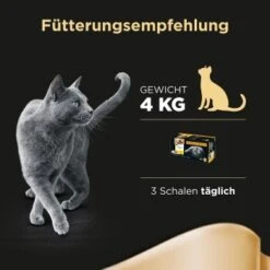 Sheba Selection In Sauce 32x85g -Haustierparadies 67890fa30c253ae14afae90d7afce36bf2d4bf55 f3d10d4a2b41518df483944aaa4f3a790f15504c