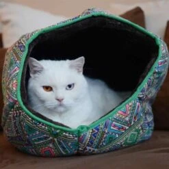 Canadian Cat Company Katzentunnel COSMO M -Haustierparadies 67f448259cbca2b76f0f056d6321e3f462cbbfb2 1412665 de DE 5bb2b25340ddb934c05b11da4b3410ce26fcf1f8fEc8B6