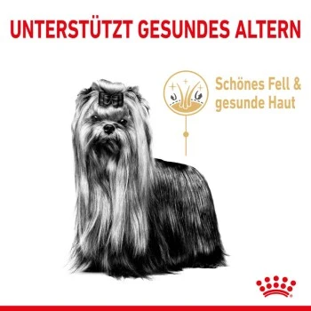 ROYAL CANIN Yorkshire Terrier 8+ Für ältere Hunde 1,5 Kg 7 ROYAL CANIN Yorkshire Terrier 8+ Für ältere Hunde 1,5 Kg – Bild 5