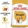 ROYAL CANIN Beagle Adult 3 Kg -Haustierparadies 6aa397bd67655ca67487c7e57c2fab74c982de78 2ef00678fccbd602c59ee68aa6dd088a75364fc6
