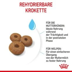 ROYAL CANIN MAXI Starter 15kg -Haustierparadies 6b3d4eca89fc38af516846f4b626b5bde7538980 1044296 de DE royalcaninwb4