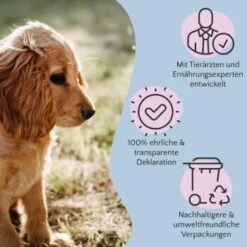 FAVLY Petfood Nature Cookies Pute 360 G -Haustierparadies 6c9d1abe0a2c3e1ebe66676a84af974447985b3a 1474002 de DE 8376156006fe9b222994c99185dc131fb988c3c2LLZ2OM