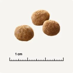 SELECT GOLD Senior +12 Geflügel Mit Reis 3 Kg 12 SELECT GOLD Senior +12 Geflügel Mit Reis 3 Kg -Haustierparadies 6db53d99e99530132bf34d8482d69f423780c004 1081823016 de DE 6