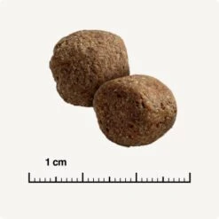 SELECT GOLD Sensitive Maxi Adult Insekt 12kg 14 SELECT GOLD Sensitive Maxi Adult Insekt 12kg -Haustierparadies 7015603a3156e3029a135cff15a95f9a59c01163 1344001 de DE 6