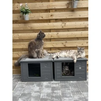 RHR Quality Katzenhaus Villa De Luxe = 7 RHR Quality Katzenhaus Villa De Luxe = – Bild 5