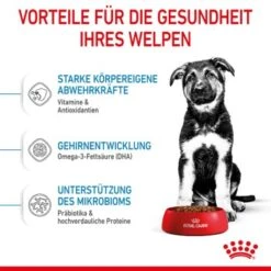ROYAL CANIN Maxi Puppy 10x140g 11 ROYAL CANIN Maxi Puppy 10x140g -Haustierparadies 726a99c8ae223a8a5713e5eebf41ef80f580fe60 3182550402163 5