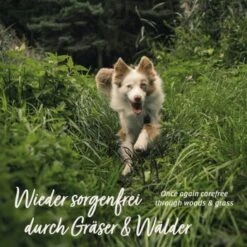 Aniforte Z-Season Snack 350g -Haustierparadies 73a9c702b62350d9977522526f40b2f15ac1a87b 1495364 de DE a9f698c76a12bd39e549344514374e4b07a0f5b8wxpq6a