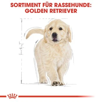 ROYAL CANIN Golden Retriever Puppy 12 Kg 11 ROYAL CANIN Golden Retriever Puppy 12 Kg – Bild 9