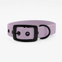THE DOG IDEA Biothane Halsband Lavendel Schwarz S -Haustierparadies 73f9e0f0cd3376b3324f197e9e830f076848295e 1662775 de DE 042a5e31100b1aea1ee32c5b4f32d821e701db47NYhRDx