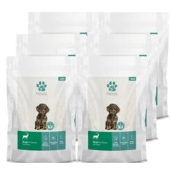 Fellicita Hirsch Mit Gemüse & Hirse 6x 300g 6 Fellicita Hirsch Mit Gemüse & Hirse 6x 300g -Haustierparadies 760628a4d4ec165899c653ed2a0c7ca0d1e33fed 1486612 de DE 252b040241ab9d2baa27151c9410f8e9f83a0ed1UD6vwn