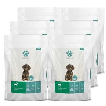 Fellicita Hirsch Mit Gemüse & Hirse 6x 300g 4 Fellicita Hirsch Mit Gemüse & Hirse 6x 300g – Bild 2