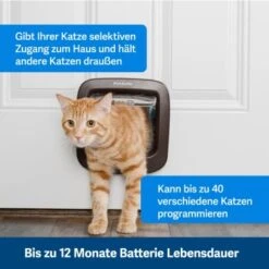 PetSafe Mikrochip-Katzenklappe, Braun -Haustierparadies 775b18f6b394339222c015c366e842b38f68db0d 1320732 de DE 20a9d24e3f3c8cf99d113f90bafe2f3bfdcc87d0ttEYqC