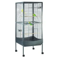 MORE FOR Voliere Melbourne