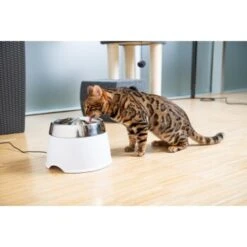 AniOne Edelstahl-Trinkbrunnen Trevi Ohne Ersatzfilter -Haustierparadies 7a066af048695bbfaeca0a855e5984fc3bf99d03 689fcf415d486ac05c07f2a4868b1d087d7a9ece