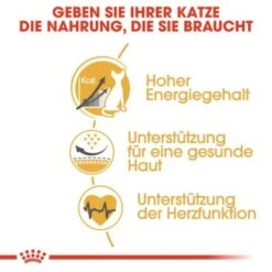 ROYAL CANIN Sphynx Adult 10 Kg -Haustierparadies 7ad1bdc3999349cafae1459c3c182b6552d5adfd b7ee4724e59d51ce320d09e32faae7a8df47303e