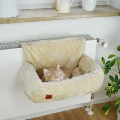 Schlitzohr Heizungsliege Lucky Beige -Haustierparadies 7bab29708c56b6f70695735987b821094f74efb9 1484673 de DE 775053056e82816b2424b888f536a523a0880ea7ZfMupV