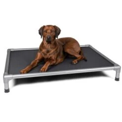 TrendPet HighBed Hochbett Für Hunde Grau M -Haustierparadies 806c9151a30c8768dca1db3b613750e05f9a4162 1398000 de DE eccf46af10cedb35cd08bd74c647de0fa5efa511wPNHSV
