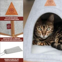 Canadian Cat Company Katzenzelt Cone -Haustierparadies 809a3c44a93f6813e3f594a392c884994f2cb8be 1394210 de DE c6578ffbb5eb34e2b0106dd76bcafeaede82606a8Hawov