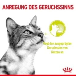 ROYAL CANIN SENSORY Smell In Gelee Für Wählerische Katzen 12x85g 15 ROYAL CANIN SENSORY Smell In Gelee Für Wählerische Katzen 12x85g -Haustierparadies 8189732b9ae1a398fb4fb109d95a4bf54f9ea43e e98d42f060ba951a9dc658034746788da77dfcfd