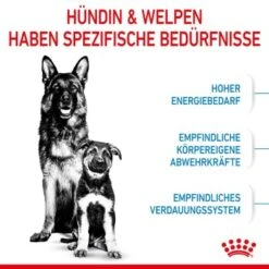 ROYAL CANIN MAXI Starter 15kg -Haustierparadies 84509061cc88bbba93af28332fe80ae82ca37ef9 1044296 de DE royalcaninwb2