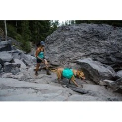 Ruffwear Flat Out™ Leine Blau/ Blau -Haustierparadies 85e1e87221f1b41da3f49e762abc3e4155bd6bfa 1364254 de DE 1bdd3ccdf97db74402231bb261899b329fe405dbNPxWVG