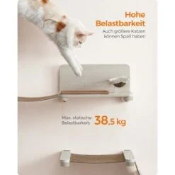 FEANDREA Clickat Katzen-Futterstation Erhöht -Haustierparadies 872e60080947c3bbed4a42474423d98dea511312 1681429 de DE eb52cddfe415e1f7867b75805347ff5b8a8fc97bQOHhYK