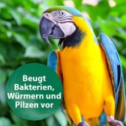 Quiko Med V Liquid 100 Ml: Mit Hochwertigem Oregano-Öl Für Ziervögel 7 Quiko Med V Liquid 100 Ml: Mit Hochwertigem Oregano-Öl Für Ziervögel -Haustierparadies 88a4d869da906e8aaa1074413d2b5765c37fe51c 1387820 de DE 18f5cb5cc5b0a1074c44f20b530fefedca292a50auwynr